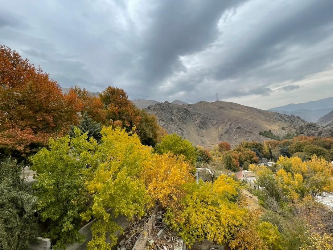 ۲۰۰ متر ویلایی کنسول خور جنوبی زیبادشت المپیک|فروش زمین و ملک کلنگی|تهران, زیبادشت|دیوار