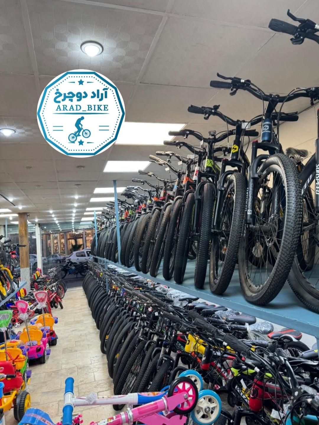 پخش دوچرخه((نمایندگی آراد دوچرخ))|دوچرخه، اسکیت، اسکوتر|ساوه, |دیوار