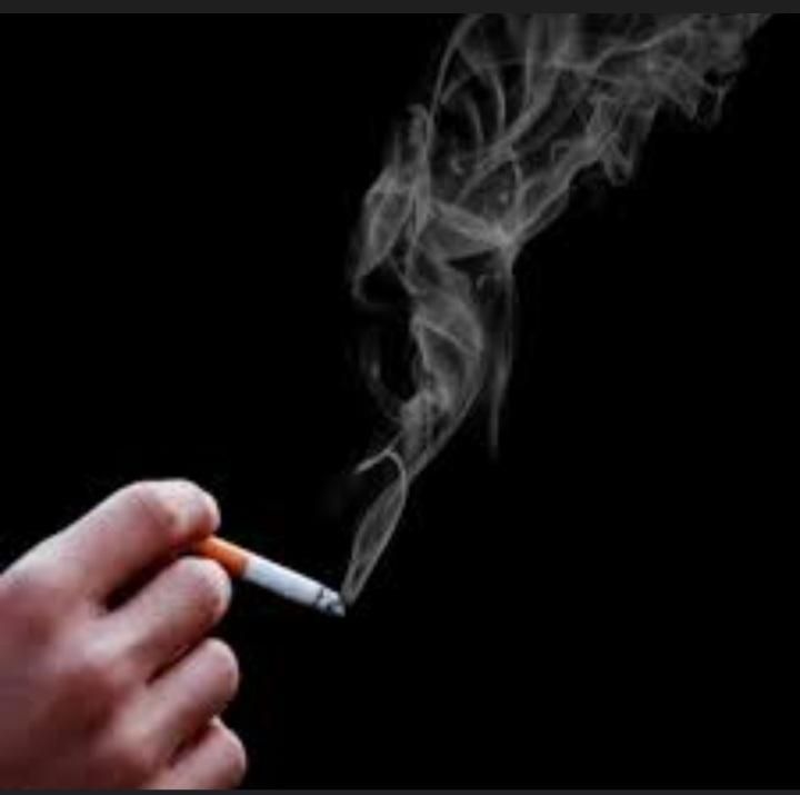 سیگاری ها و قلیانی ها بخوانند|حراج|سنندج, |دیوار