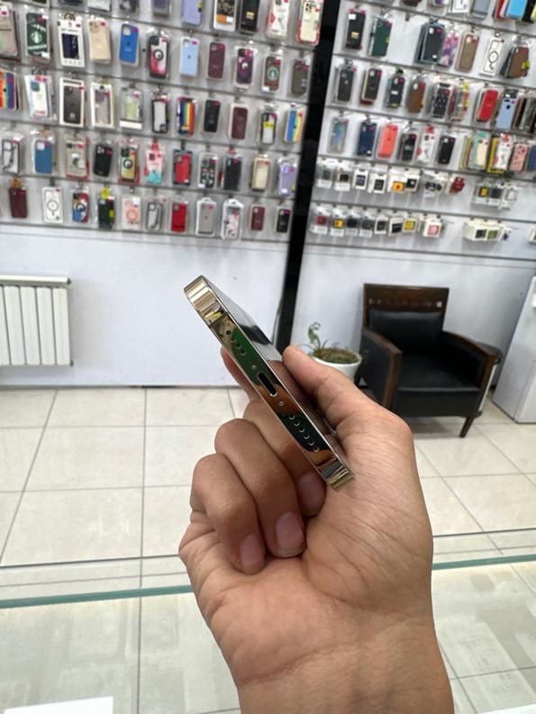 اپل iPhone 12 Pro Max با حافظهٔ ۲۵۶ گیگابایت|موبایل|یزد, |دیوار
