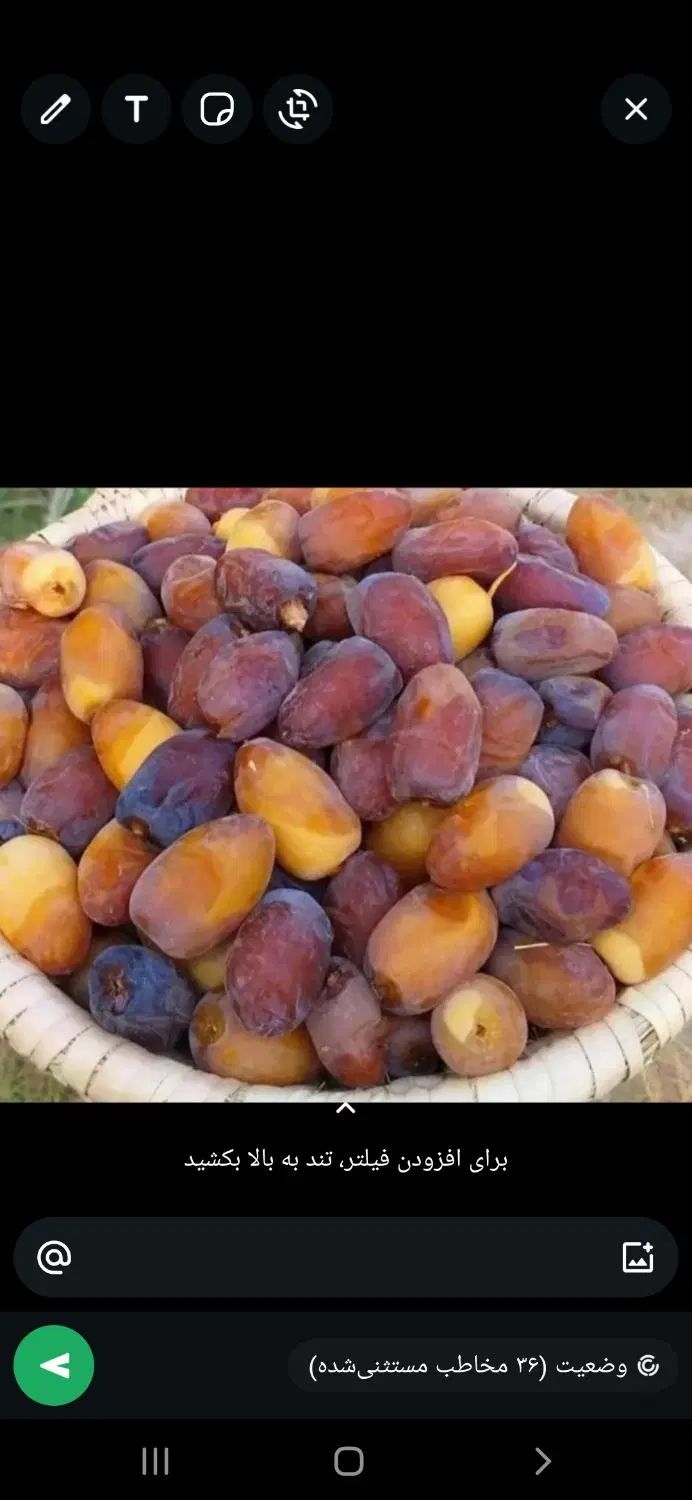 رطب درجه یک بهبهان کیلو ۱۳۵|خوردنی و آشامیدنی|تهران, نیروی هوایی (پیروزی)|دیوار
