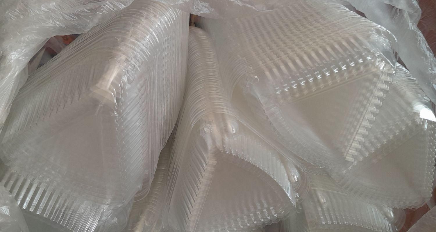 ظروف یکبارمصرف سه گوشه کیک تک نفره|ظروف نگهدارنده، پلاستیکی، یک‌بارمصرف|نقده, |دیوار