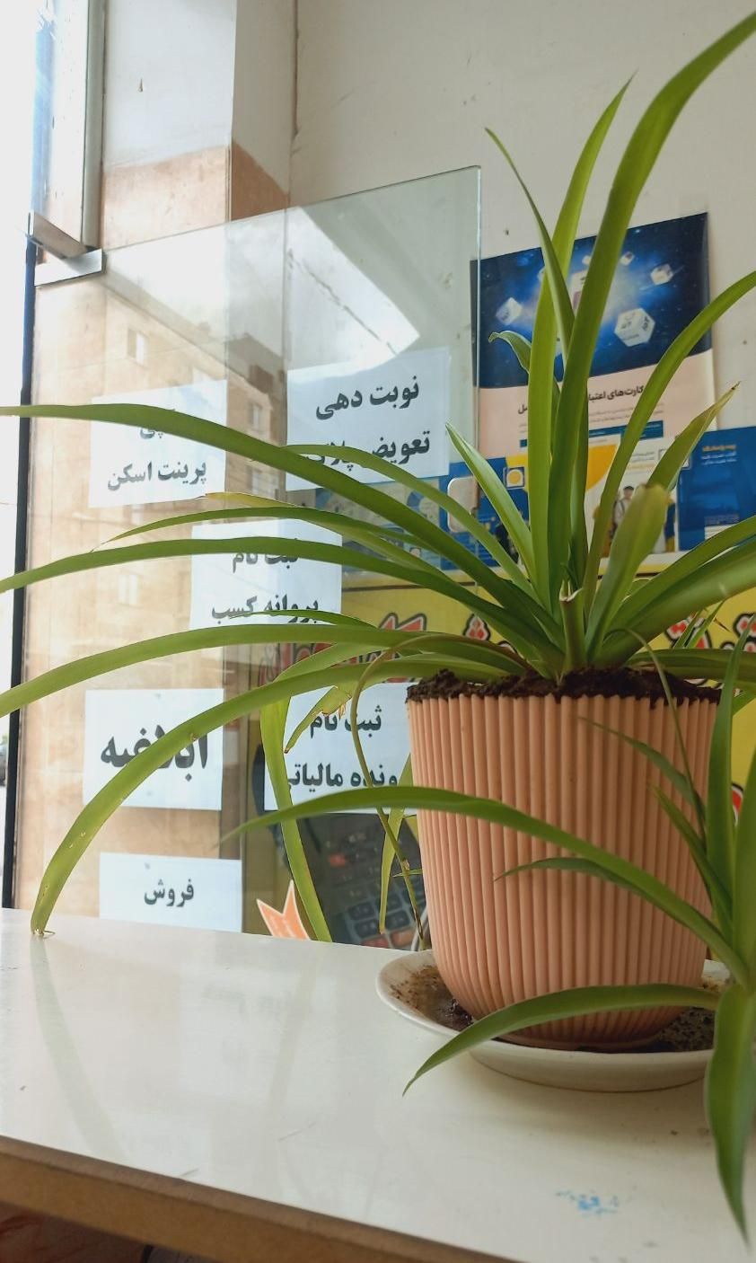 مرکز تخصصی خدمات کافینت و تایپ و ترجمه|خدمات رایانه‌ای و موبایل|تبریز, |دیوار