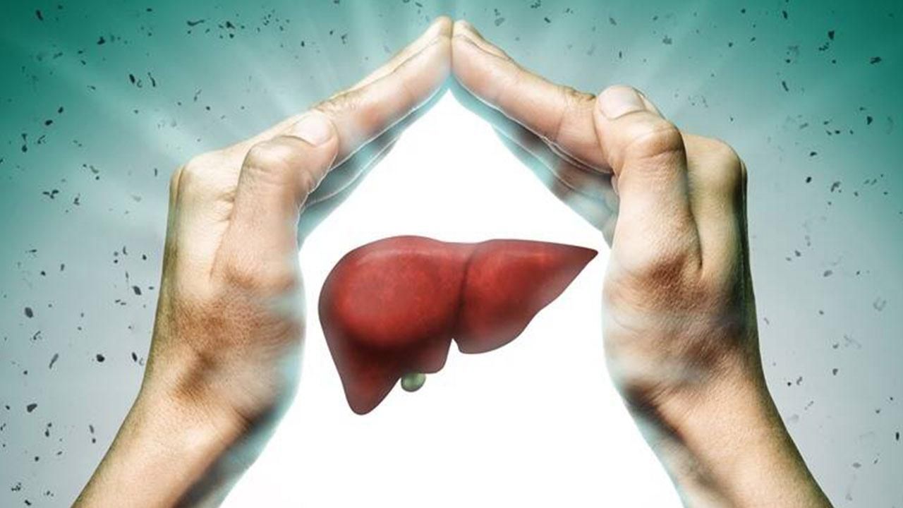 کبدچرب را درمان کنیدو به زندگی شاداب تری دست یابید|خدمات آرایشگری و زیبایی|گنبد کاووس, |دیوار