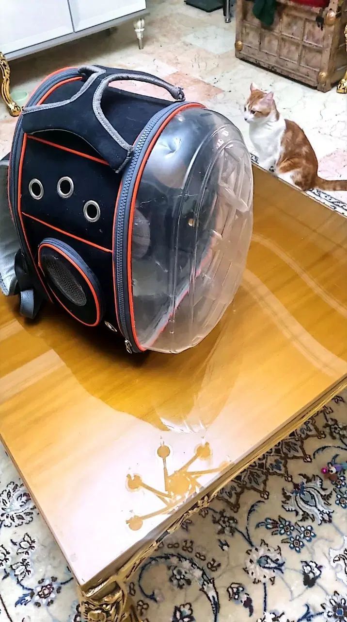 باکس وکیف گربه کوله ای کم استفاده شده  بسیارتمیز|لوازم جانبی حیوانات|تهران, شاهین|دیوار