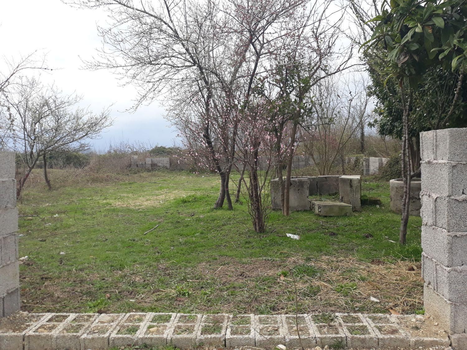 زمین ۴۱۶ متری مسکونی روستای چمن|فروش زمین و ملک کلنگی|طاهرگوراب, |دیوار