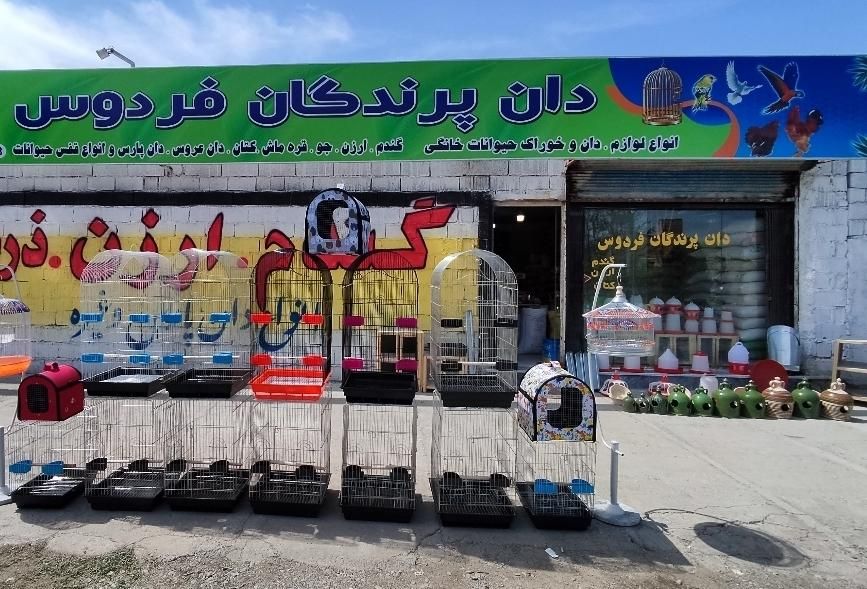 فروشگاه دان|لوازم جانبی حیوانات|تهران, تهرانسر شرقی|دیوار