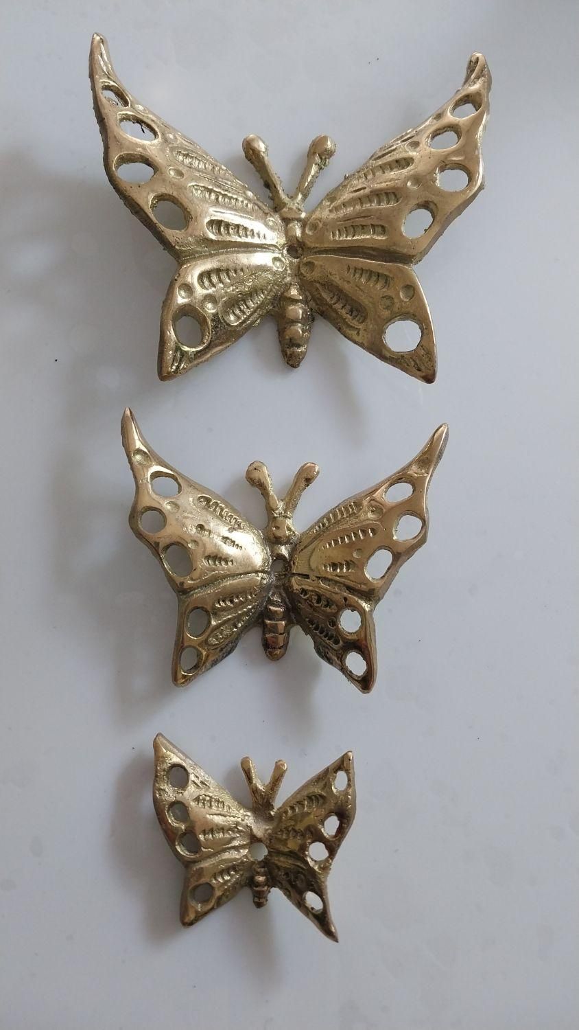 مجسمه پروانه برنجی|کلکسیون اشیاء عتیقه|لاهیجان, کوی زمانی|دیوار