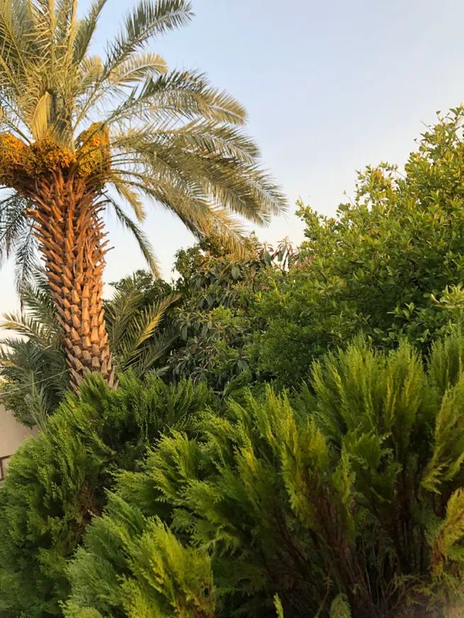 فروش خانه ویلایی 400 متر توتستان سر خیابان ۲۴ متری|فروش خانه و ویلا|نورآباد ممسنی, |دیوار