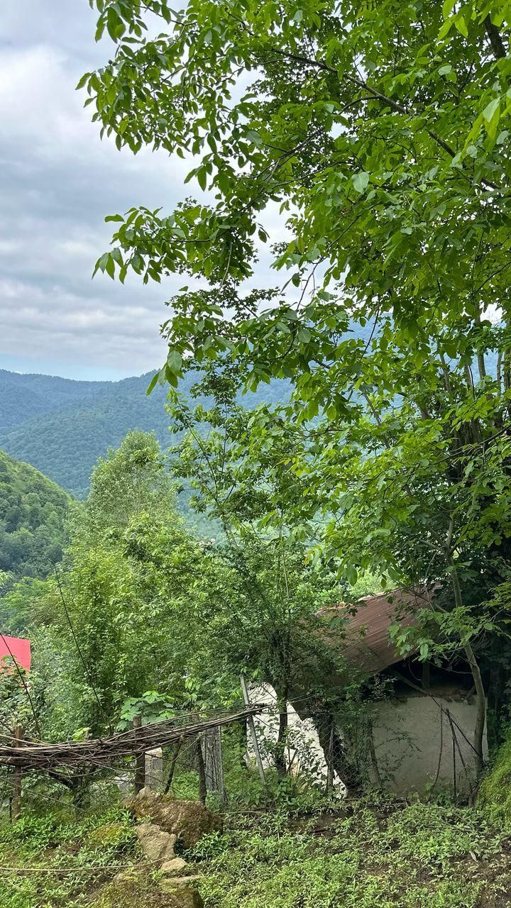 خونه روستایی ییلاقی/ویو بهشتی|فروش زمین و ملک کلنگی|احمدسرگوراب, |دیوار