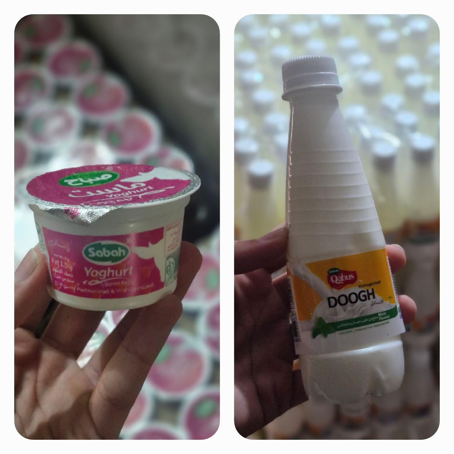 فروش انواع ماست و دوغ تکنفره ( عمده )|خوردنی و آشامیدنی|اهواز, کمپلو شمالی|دیوار