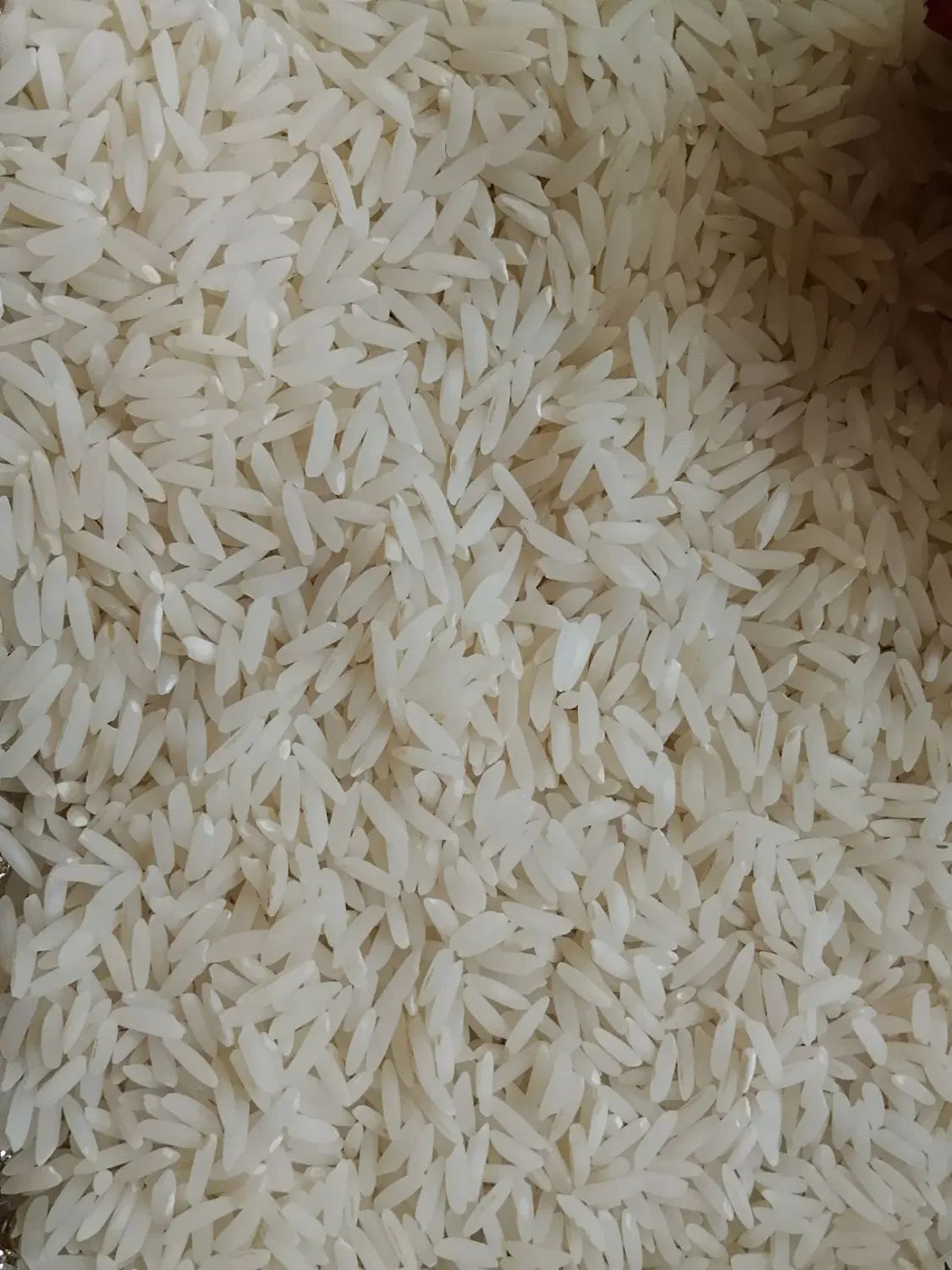 معاوضه برنج پدر بابایی هاشمی معطر با نیمدانه|خوردنی و آشامیدنی|بندر انزلی, کلیور|دیوار