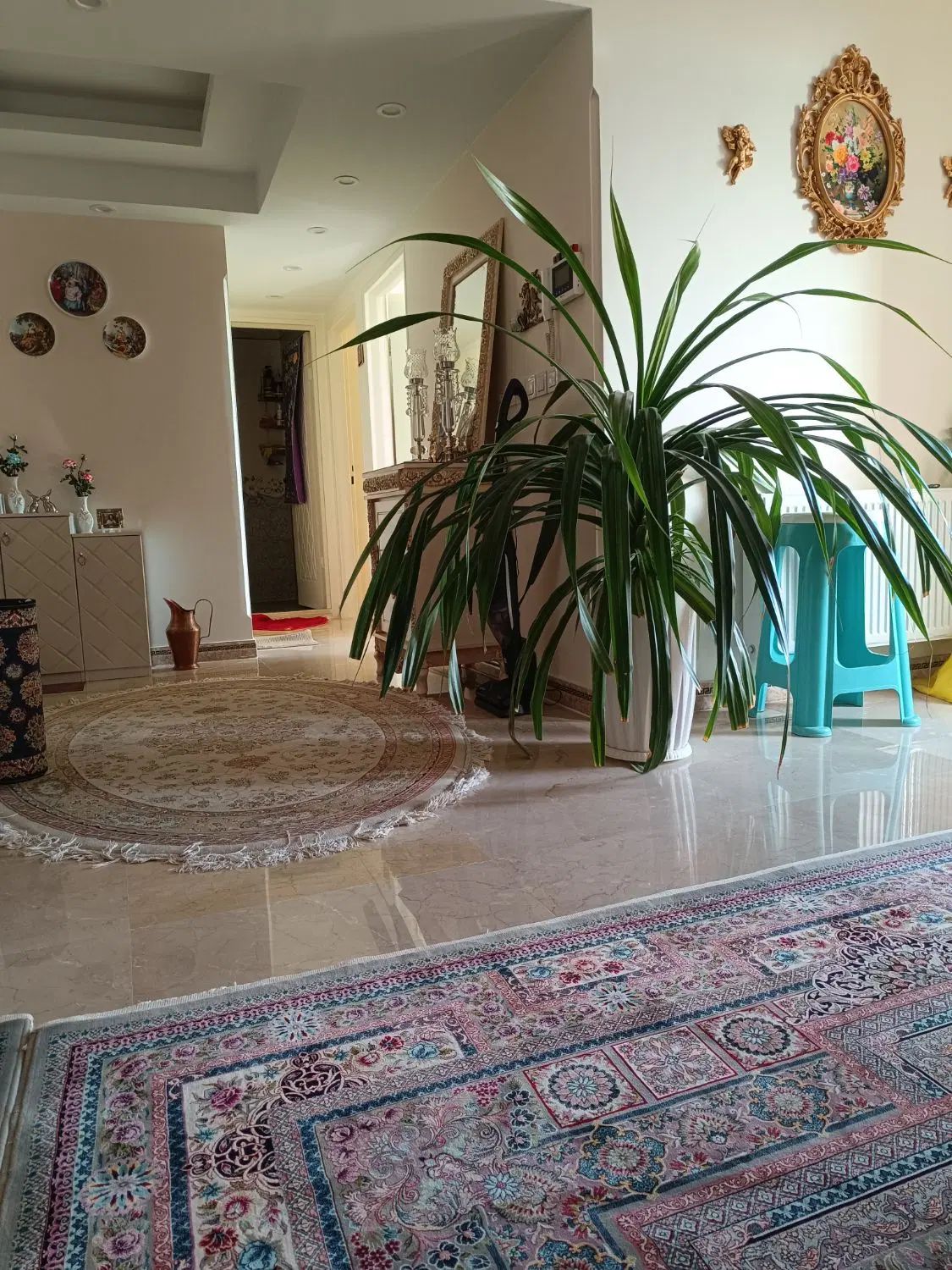 پاندانوس|گل و گیاه طبیعی|تهران, خانی‌آباد|دیوار