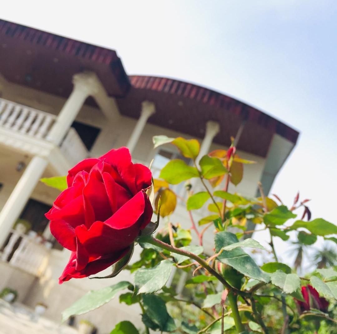 اجاره ویلا ۲ خوابه بدون واسطه در چالوس|اجارهٔ کوتاه‌مدت ویلا و باغ|چالوس, |دیوار