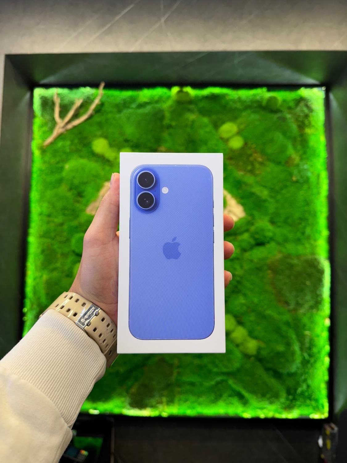 Iphone 16 128 CH|موبایل|تهران, جمهوری|دیوار