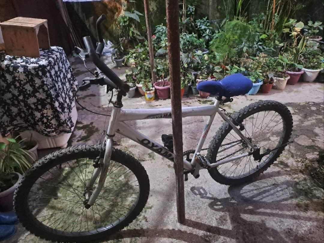 دوچرخه سایز ۲۶|دوچرخه، اسکیت، اسکوتر|لنگرود, |دیوار