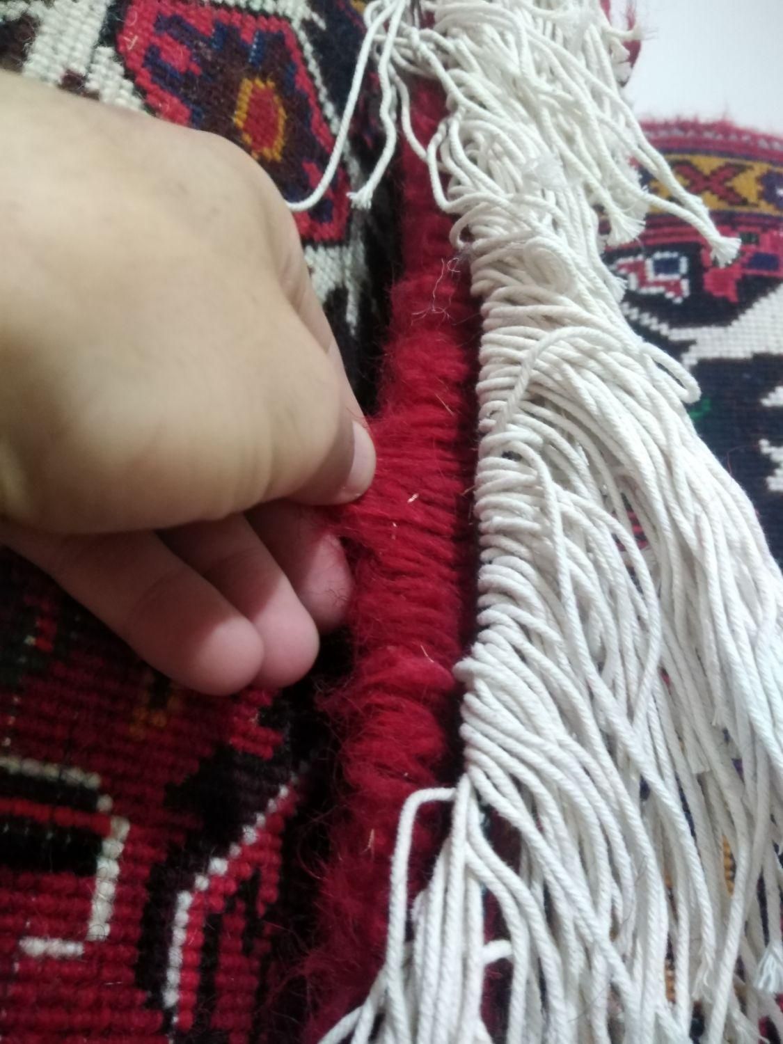 فرش دستباف اعلی|فرش|بناب, |دیوار