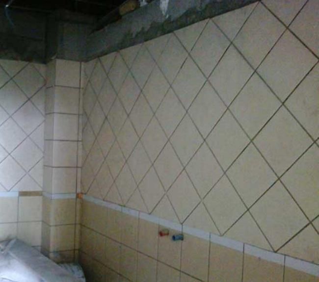 نشت‌یابی و تعمیرات ساختمان|خدمات پیشه و مهارت|اهواز, پادادشهر|دیوار