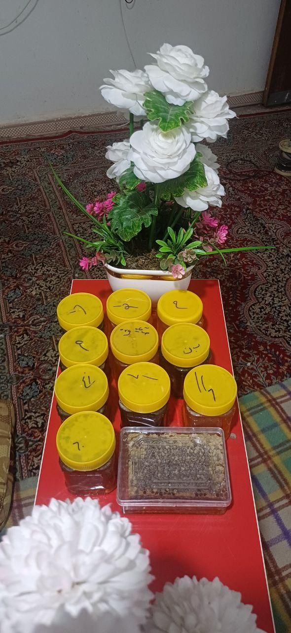 انواع عسل های پرورشی و طبیعی کیفیت تضمینی|حراج|کارون, |دیوار
