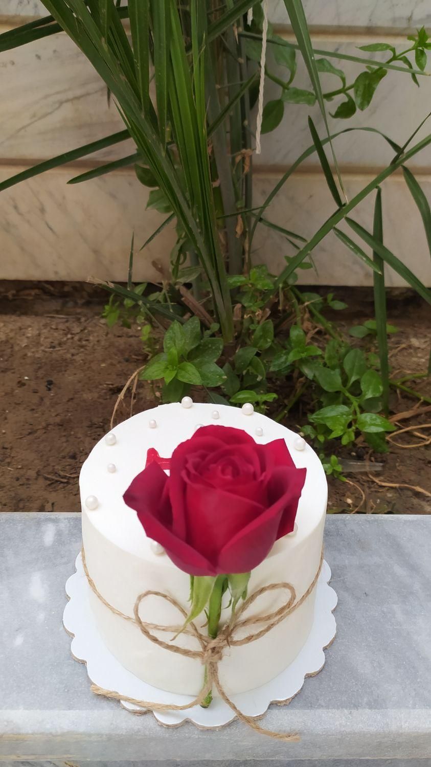 کیک خانگی|خوردنی و آشامیدنی|کاشان, شمس آبادی|دیوار