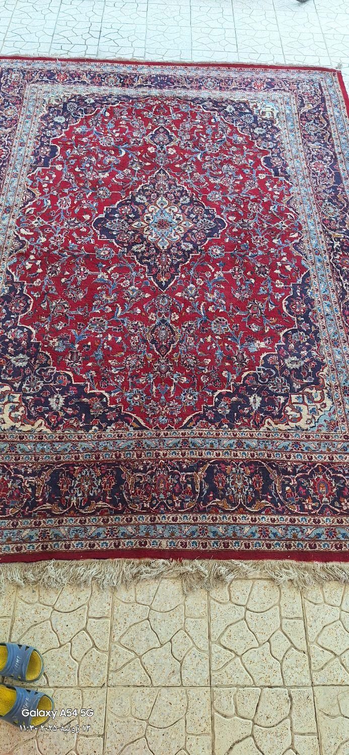 فرش دستباف باف قدیمی ۱۲ متری|فرش|آمل, |دیوار