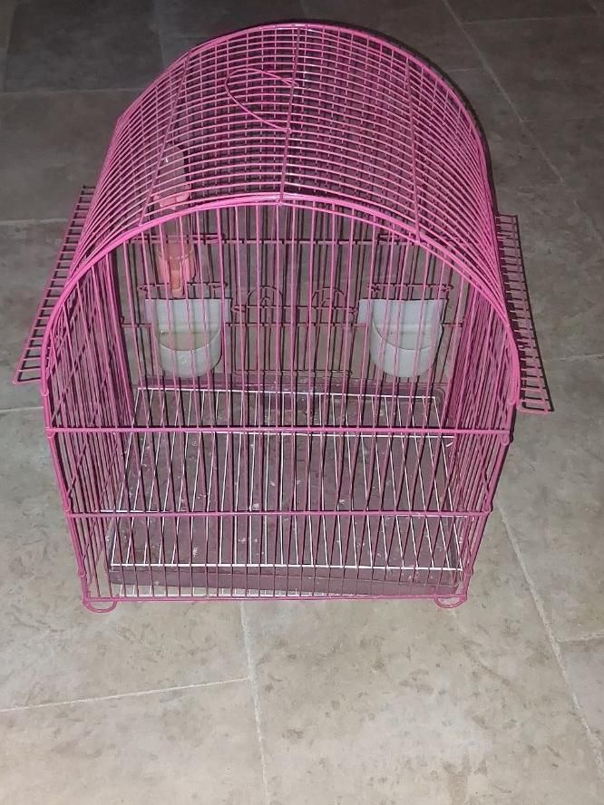 قفس پرنده|لوازم جانبی حیوانات|هشتگرد, فاز ۱ مهستان|دیوار