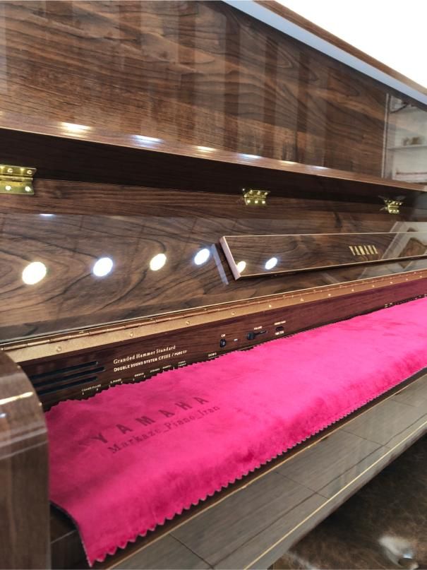 پیانو یاماها طرح اکوستیک p145 pro|پیانو، کیبورد، آکاردئون|شیراز, رازی|دیوار