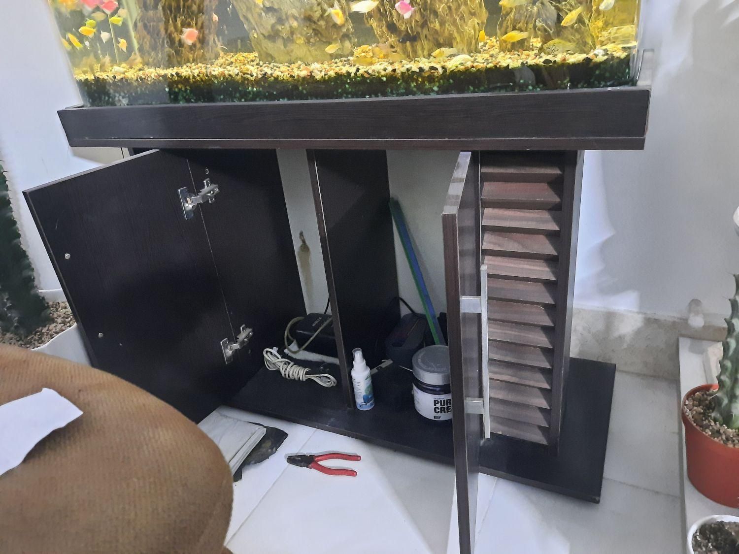 آکواریوم شیشه خم شرکتی|ماهی|رباطکریم, رباطکریم|دیوار