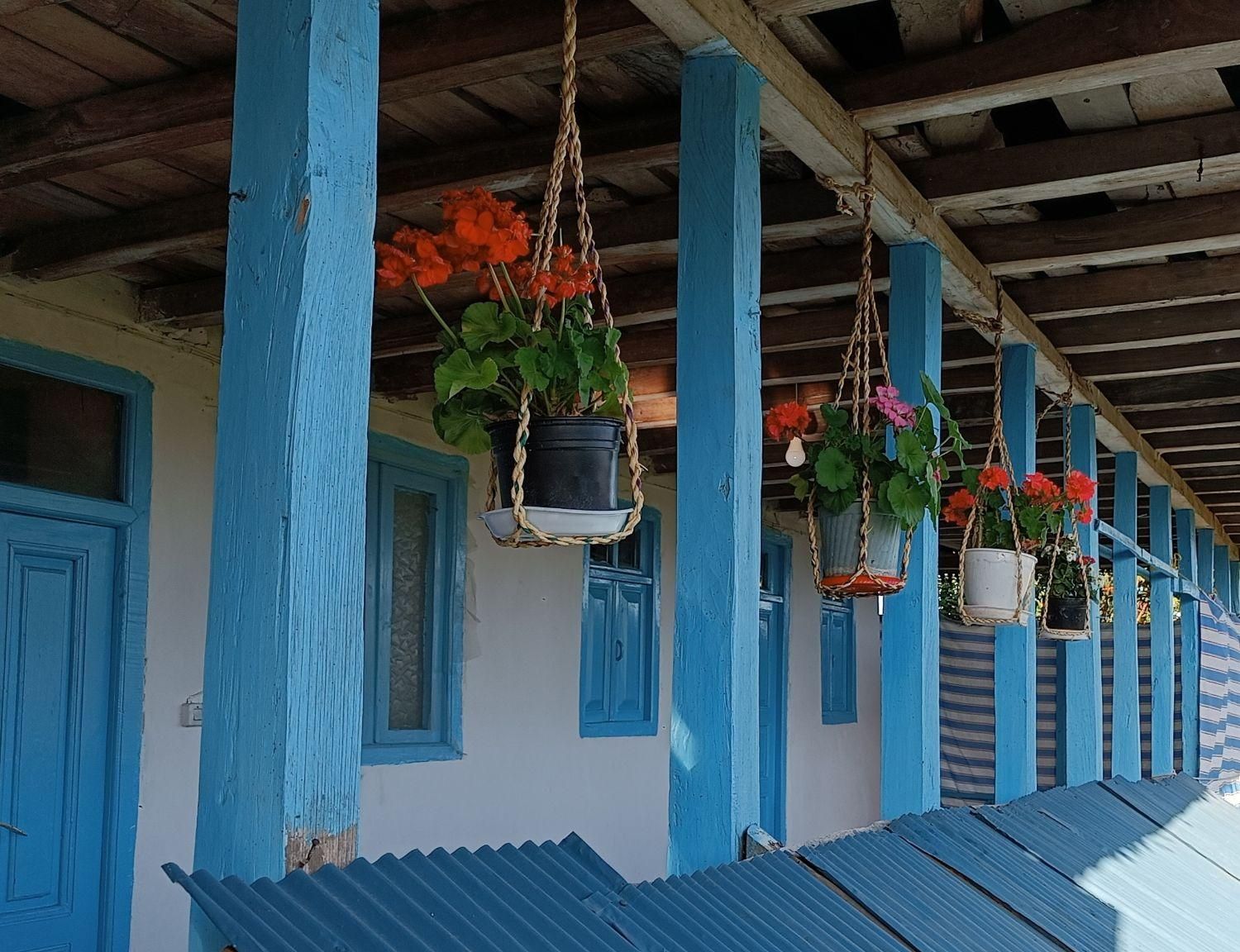 بوم گردی نرگس بانو در روستای دوستکوه شهر رودسر|اجارهٔ کوتاه‌مدت ویلا و باغ|رودسر, |دیوار