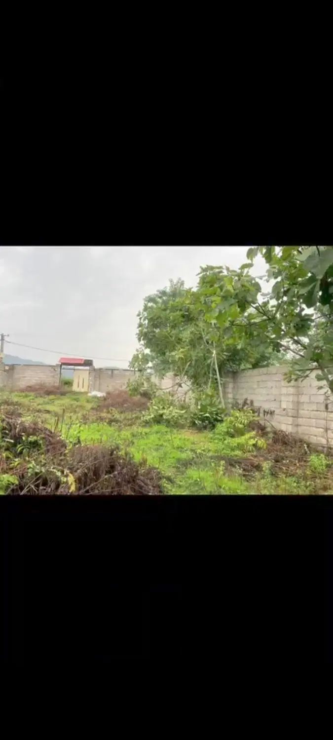 فروش زمین نسق با مدارک روستای توریستی حلیمه جان|فروش زمین و ملک کلنگی|توتکابن, |دیوار