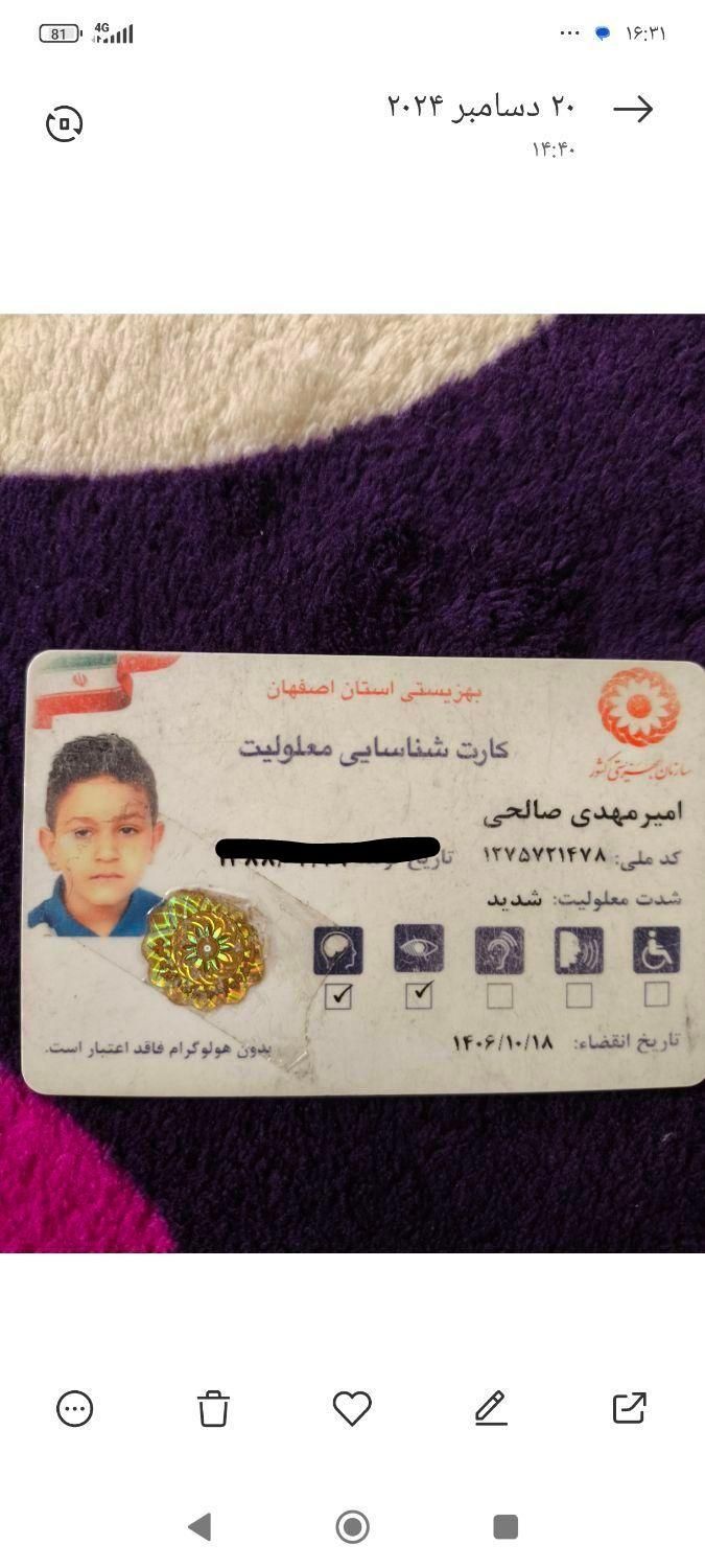 گمشده|اشیا|اصفهان, باغ فدک|دیوار