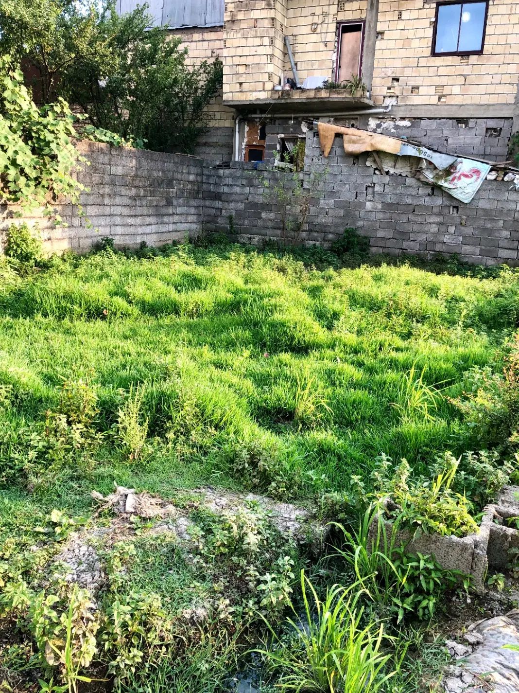 زمین ۱۰۳ متری سیاه اسطلخ|فروش زمین و ملک کلنگی|رشت, سیا اسطلخ|دیوار