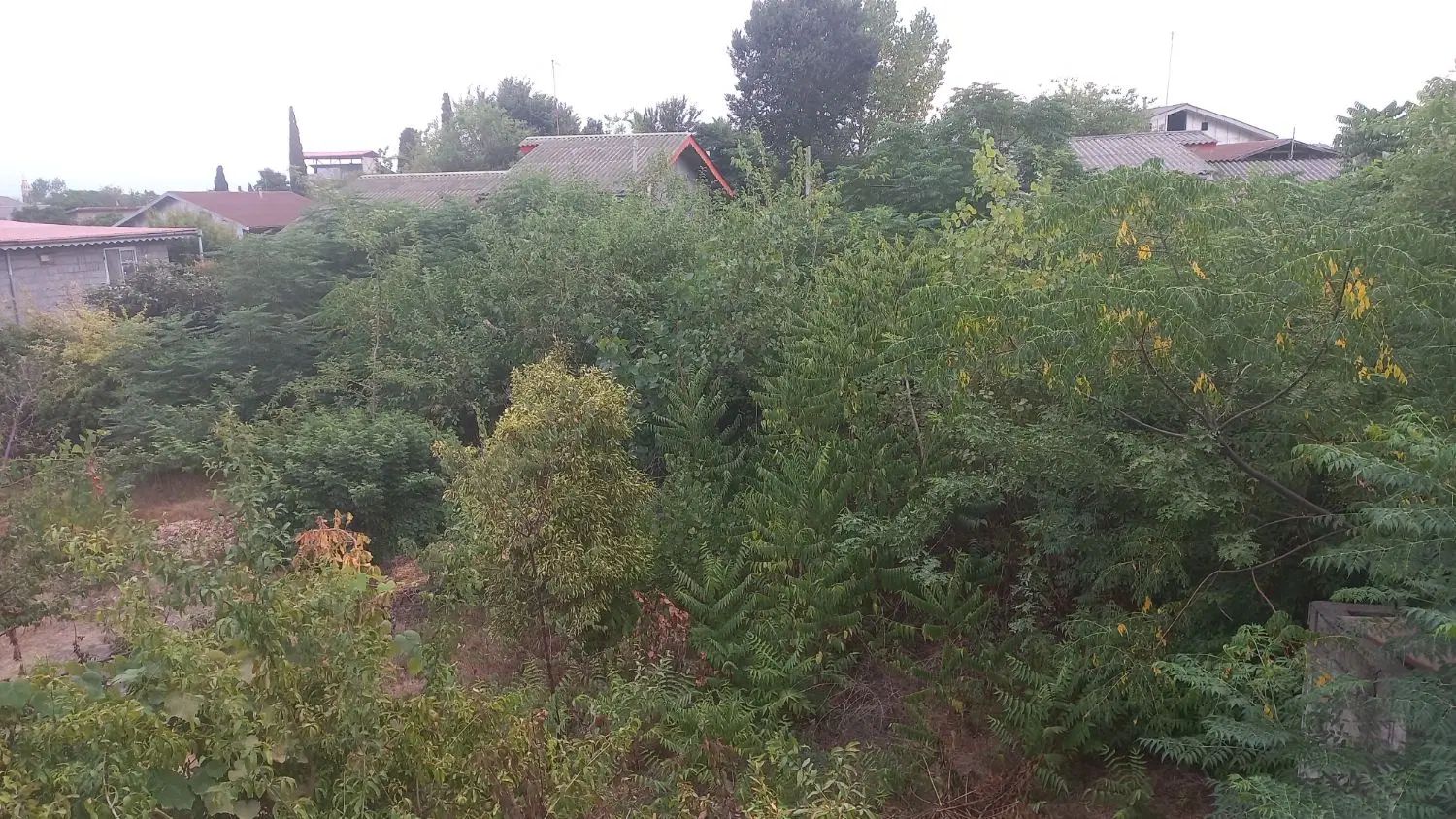 600مترزمین کاربری مسکونی درگسکرمحله رودسر|فروش زمین و ملک کلنگی|رودسر, |دیوار