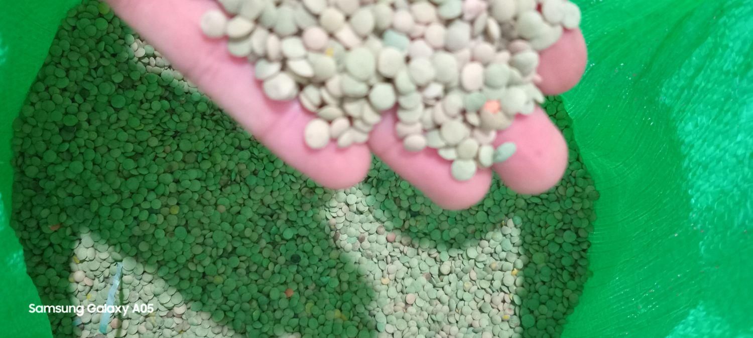 عدس مرجی|خوردنی و آشامیدنی|رشت, حافظ آباد|دیوار