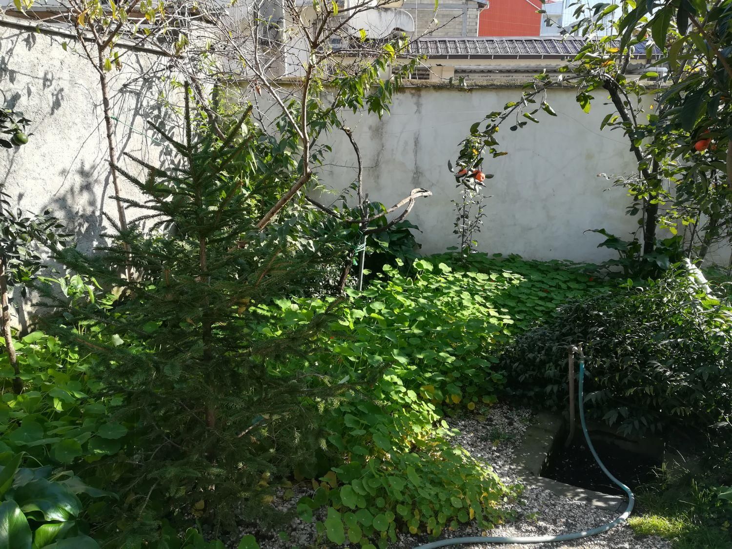 دو خوابه ویلایی در مرکز شهر پاسخگویی ۲۴ ساعته|اجارهٔ کوتاهمدت آپارتمان و سوئیت|آستارا, |دیوار