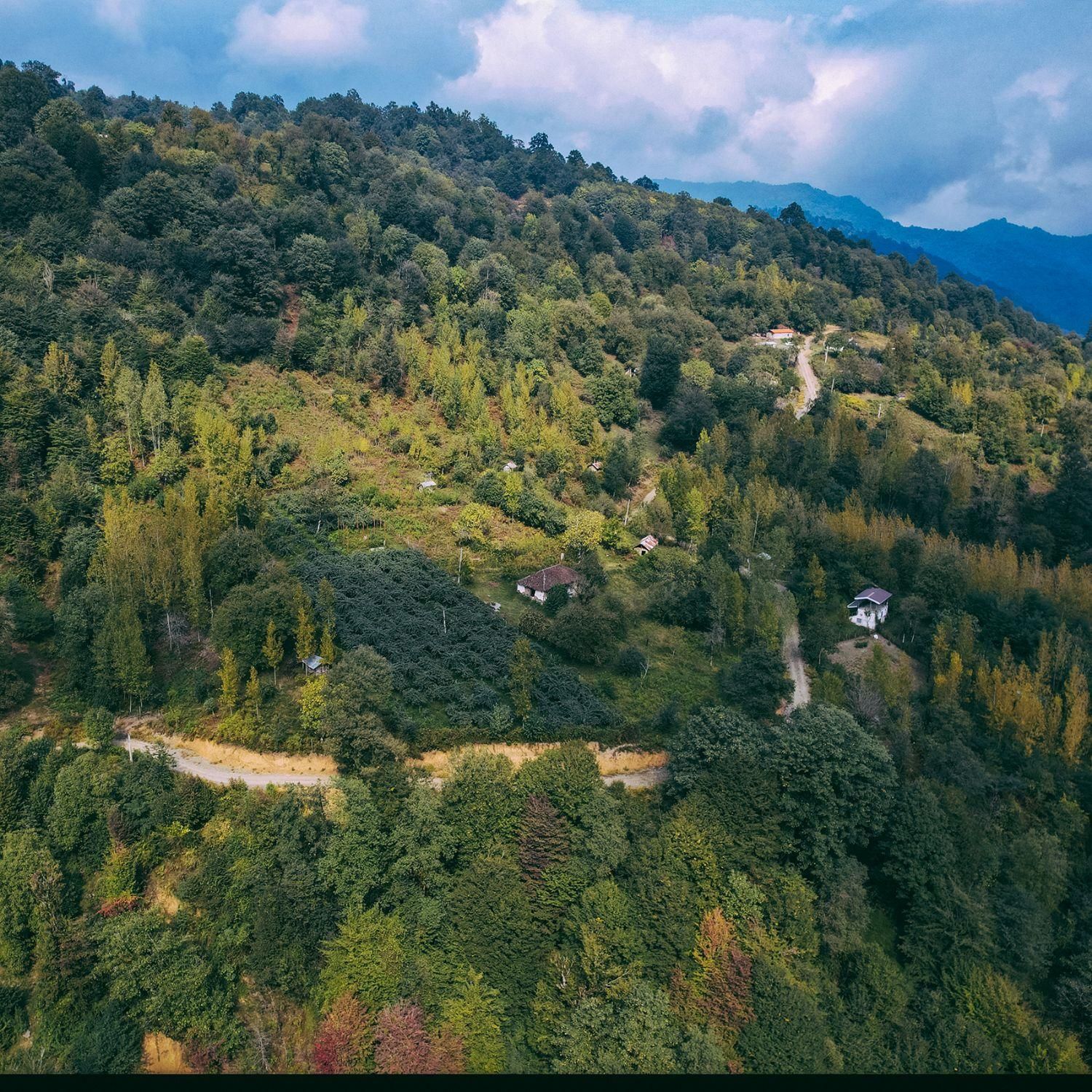 ۱۲۰۰مترزمین بامجوزساخت، اورما ملال رضوانشهر|فروش زمین و ملک کلنگی|رضوانشهر, |دیوار