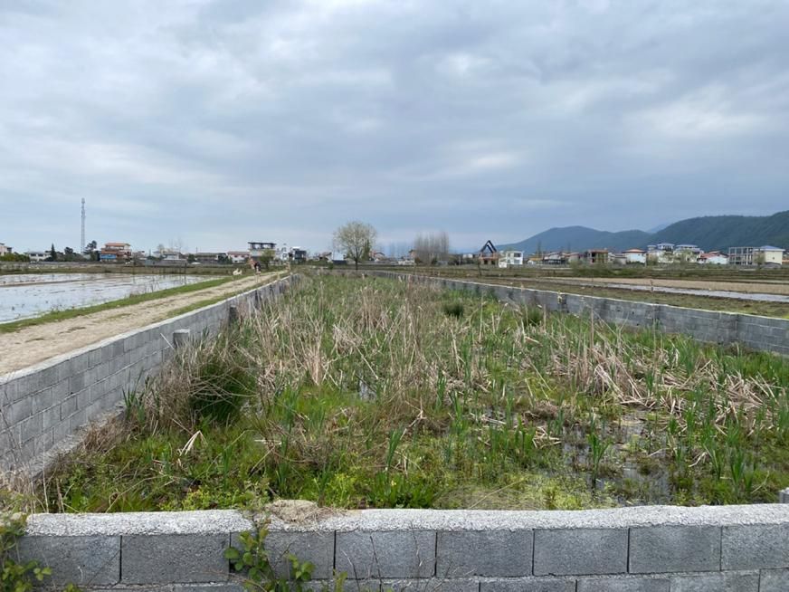 فروش زمین ۳۰۰ متری قابل ساخت|فروش زمین و ملک کلنگی|هچیرود, |دیوار