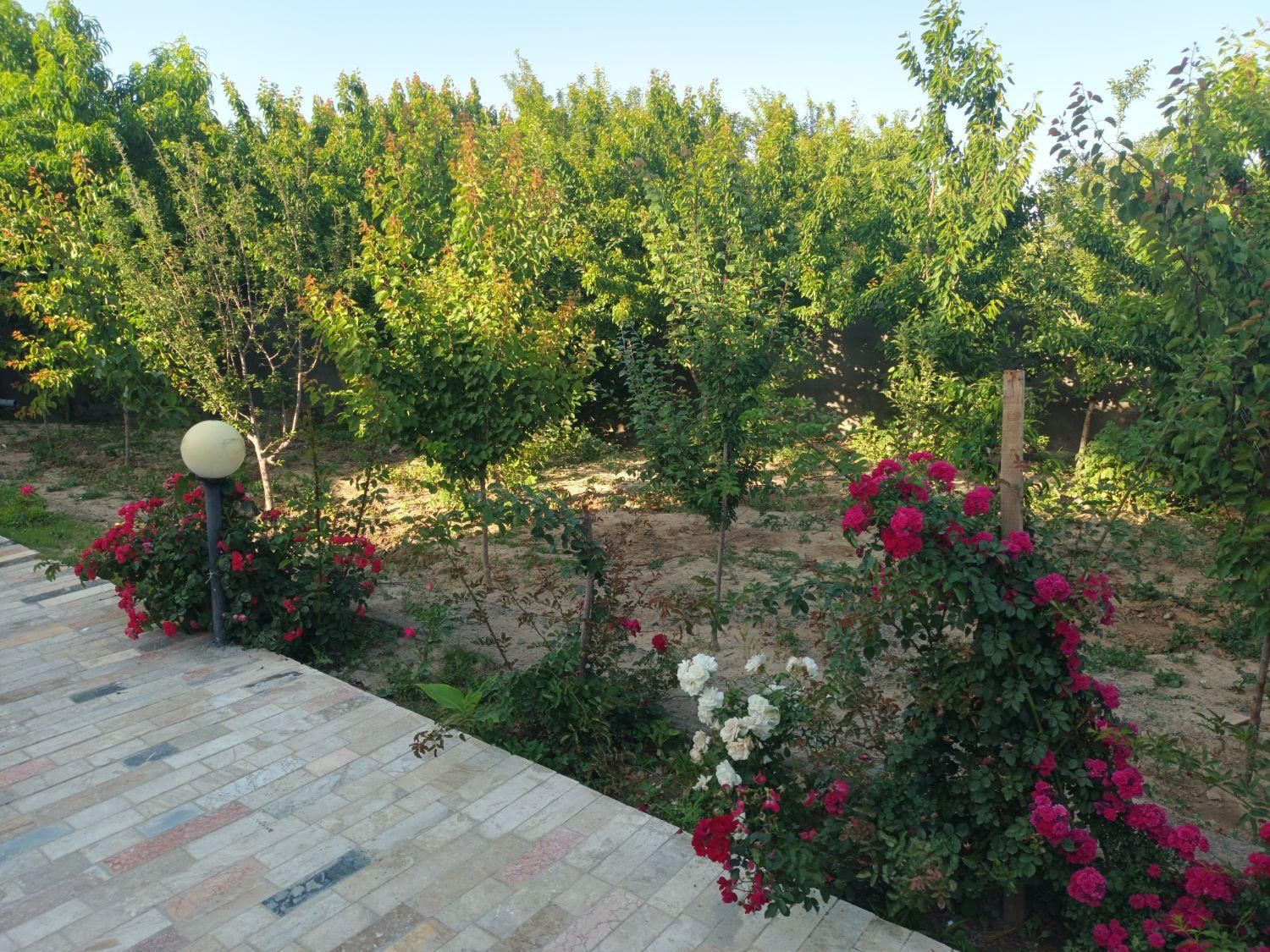 سوئیت اجاره ای|اجارهٔ کوتاه‌مدت آپارتمان و سوئیت|مشهد, توس فردوسی|دیوار