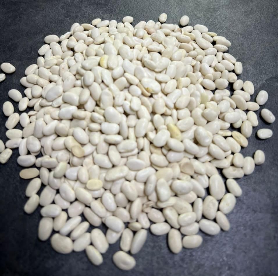 فروش انواع لوبیا قرمز - چیتی - چشم بلبلی - سفید|عمدهفروشی|ری, منصوریه منگل|دیوار