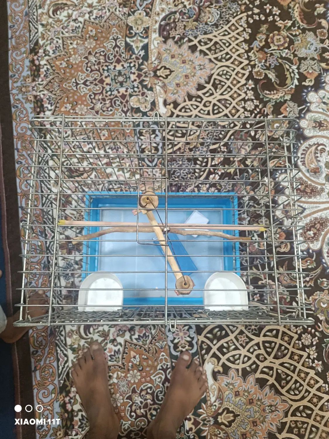 قفس طوطی سانان و کاسکو و عروس هلندی و غیره|لوازم جانبی حیوانات|چابهار, |دیوار