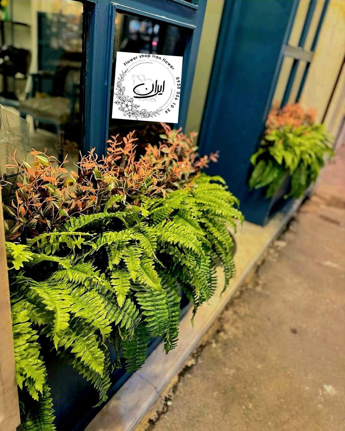 دیزاین سرخس باکس گیاه/فلاور باکس ورودی|گل مصنوعی|تهران, بروجردی|دیوار