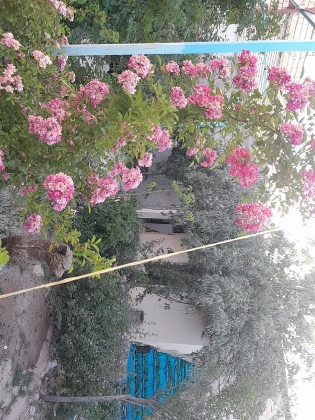 خونه ویلایی شاهنامه۷۶|فروش خانه و ویلا|مشهد, شهرک صنعتی توس|دیوار