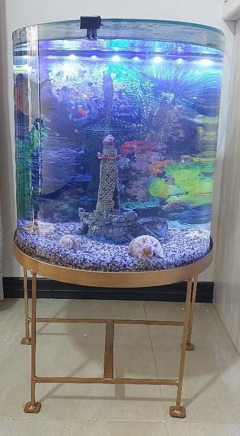 اکواریوم نیم دایره با ارتفاع و قطر  ۶۰×۵۰|ماهی|پاکدشت, پارچین|دیوار