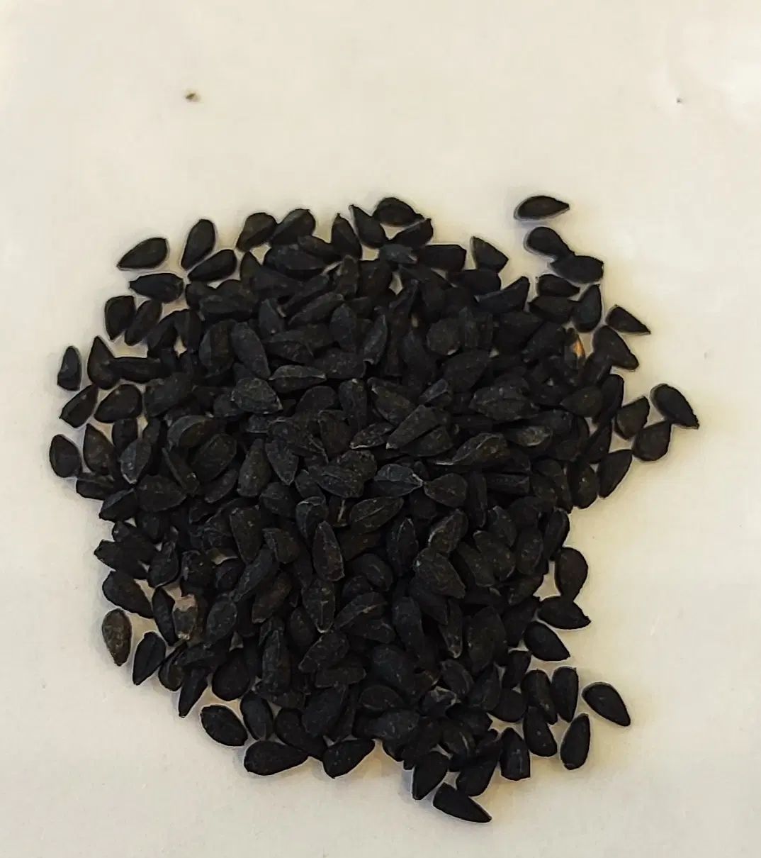 سیاه دانه بذر خارجی صادراتی|خوردنی و آشامیدنی|اصفهان, سعادت‌آباد|دیوار