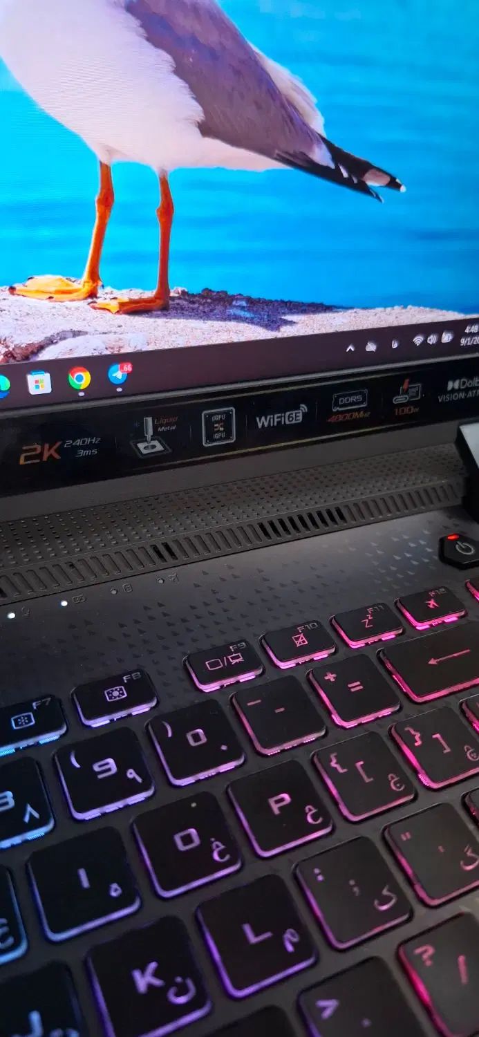 لپ تاپ ایسوس راگ ROG Strix RTX 3060 240Hz 2K|رایانه همراه|تهران, فردوسی|دیوار