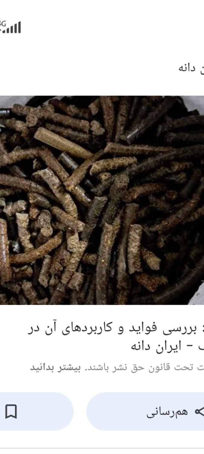 کنجاله کنجد|حیوانات مزرعه|تهران, دبستان|دیوار