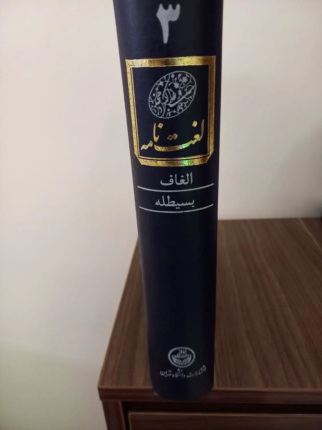 لغت نامه دهخدا ۱۶ جلدی|کتاب و مجله تاریخی|تهران, دریان‌نو|دیوار