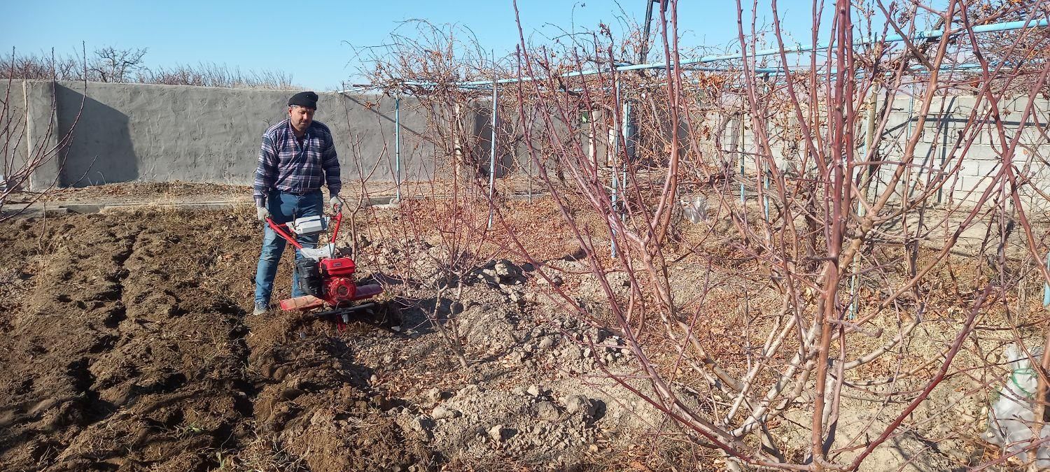 خدمات باغبانی در منطقه صوفیان و شبستر|خدمات باغبانی و درختکاری|تبریز, |دیوار