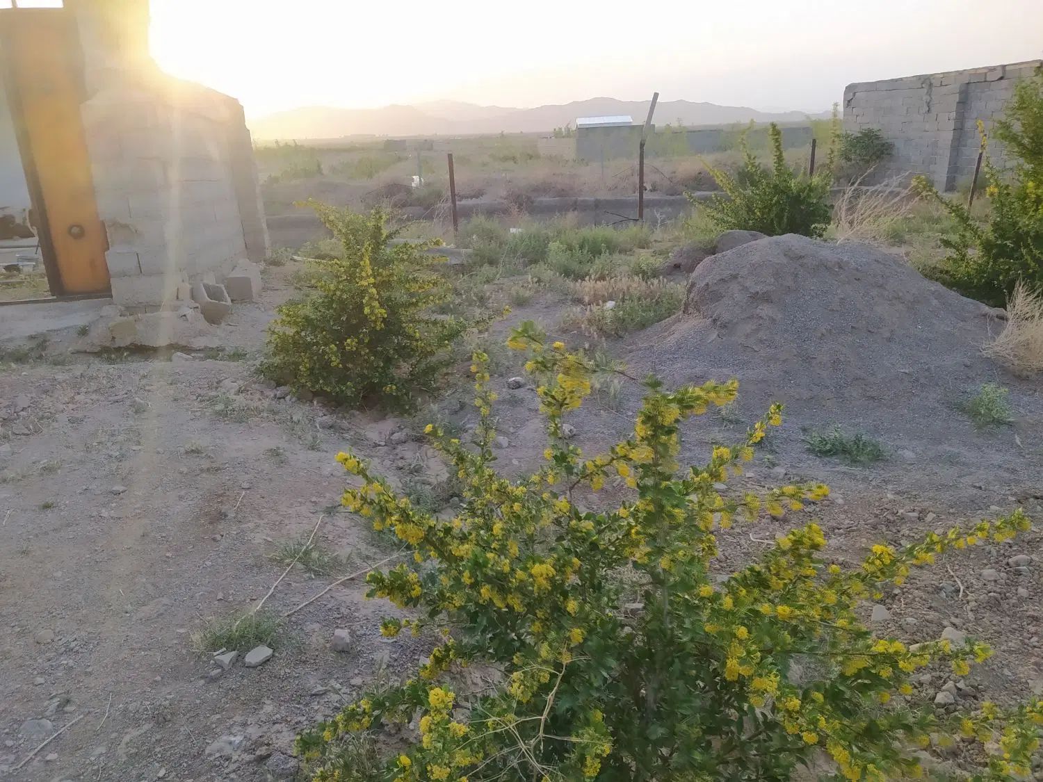 باغ ویلا جاده پهنایی با اتاق و استخر و اب ملکی|فروش خانه و ویلا|قائن, |دیوار