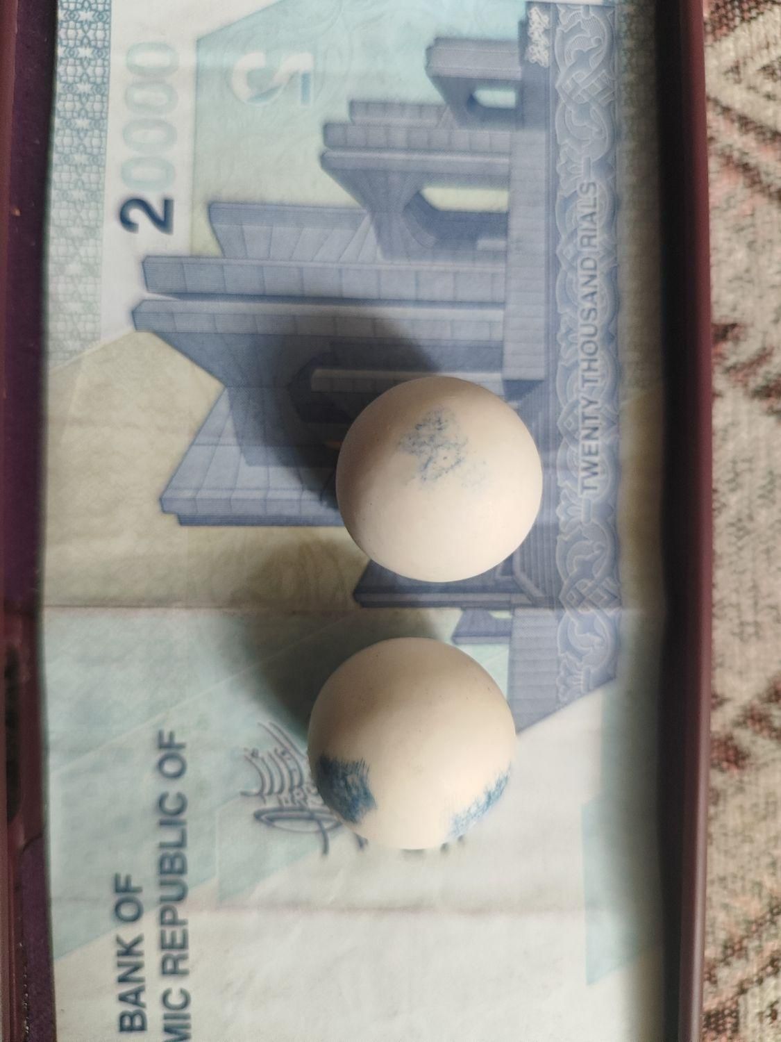 سنگ الماس آسیاب|جواهرات|همدان, |دیوار